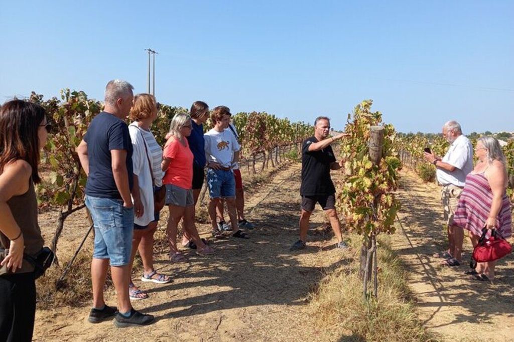 Albufeira/Vilamoura: Weinkeller Tour mit Weinverkostung und Tapas