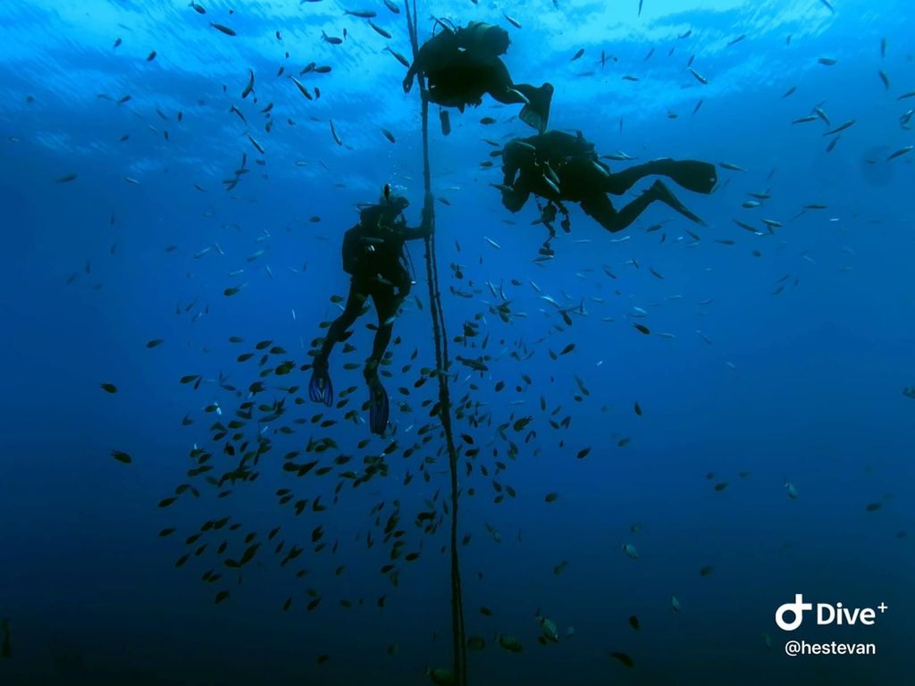 Peniche: 2 Tauchgänge mit Guide im Biosphärenreservat Berlenga