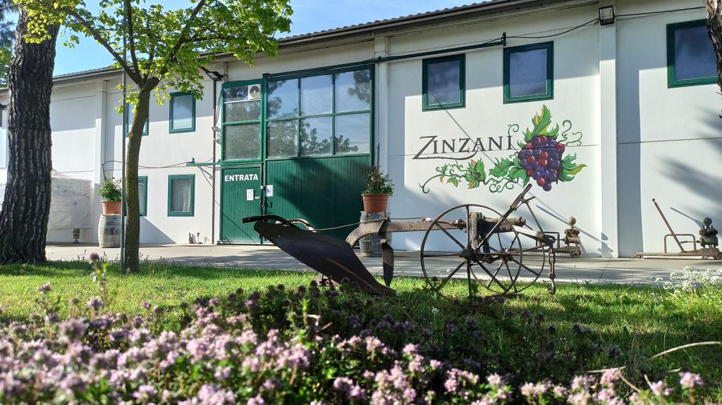 Romagna: Wein Tour mit dem Winzer