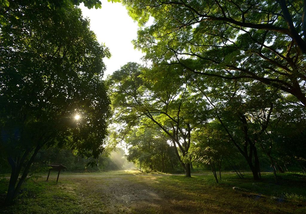 Guayaquil: Geführte Tour durch den geschützten Wald von Cerro Blanco