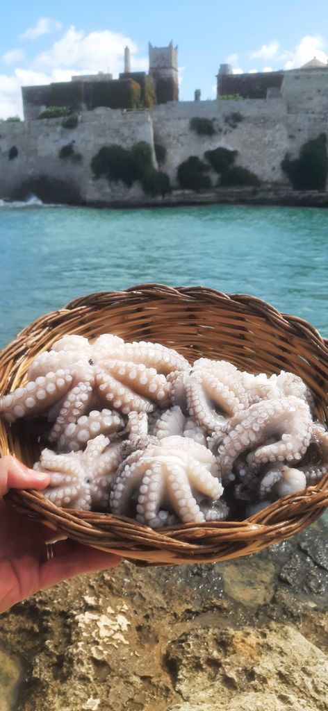 Bari: Angelerlebnis an Bord eines authentischen Fischerbootes