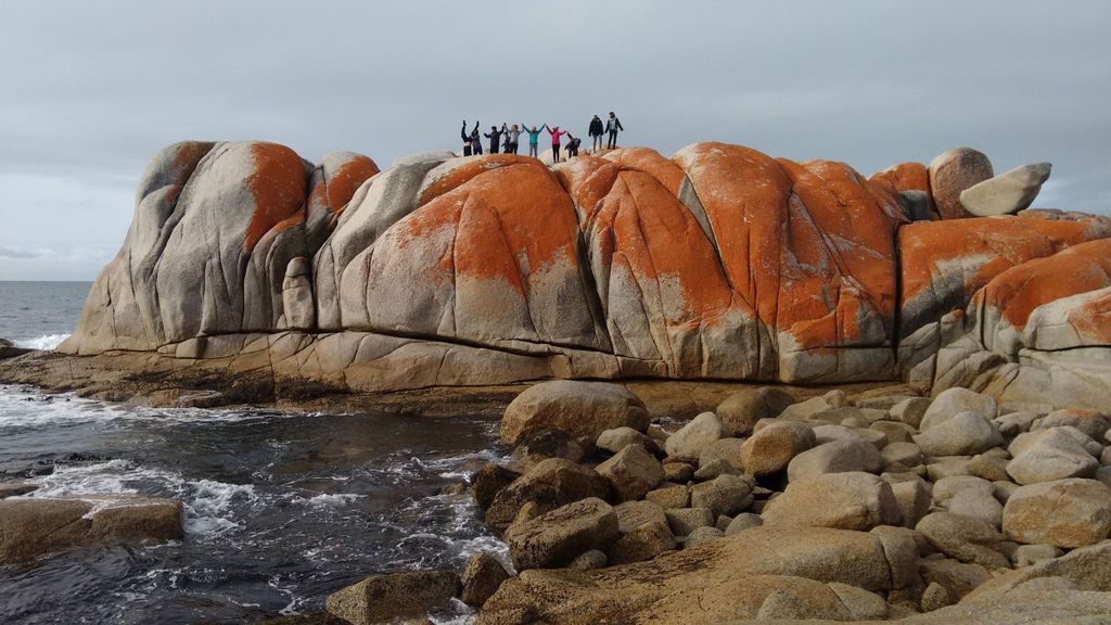 Tasmanien: 7-tägige Tour von West nach Ost