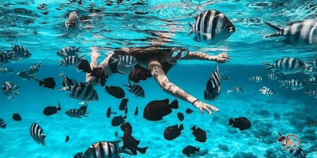 Sansibar: Blaue Lagune mit Schnorcheln und Tour durch den Jozani-Wald