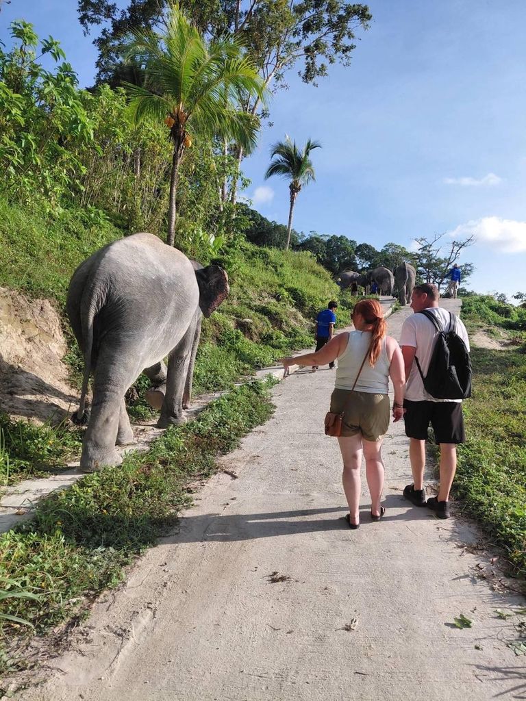 Phuket: Ethisches Elefanten-Schutzzentrum