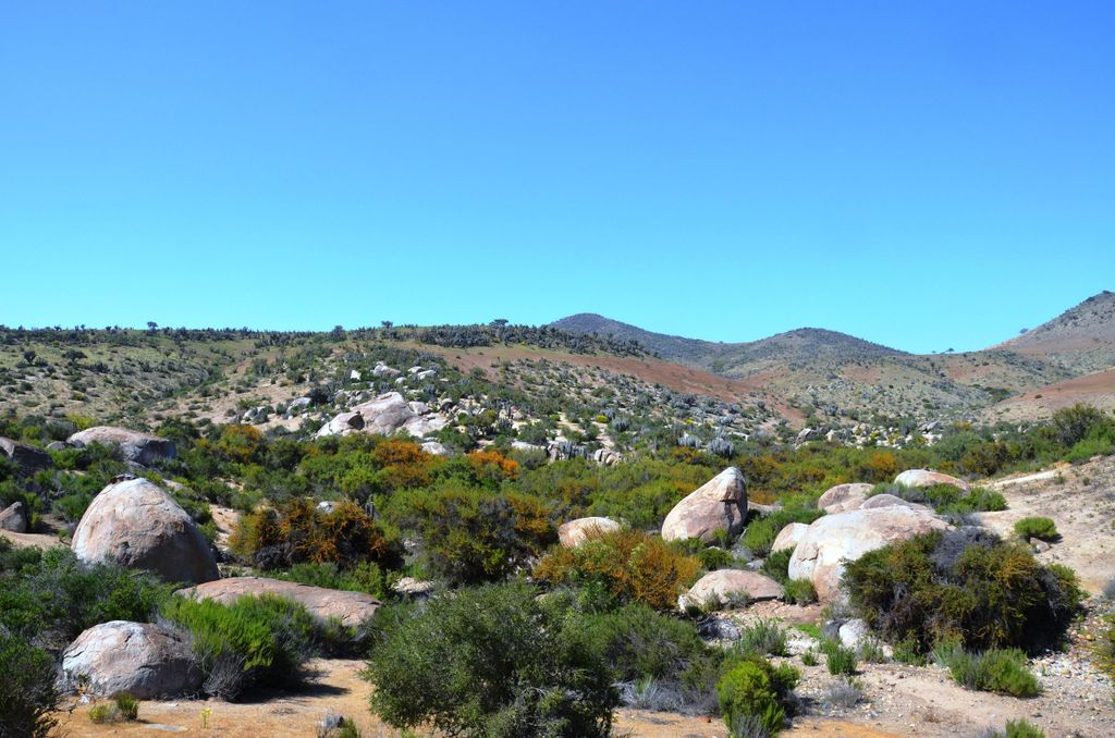 Das verzauberte Tal, ein versteckter Schamanenunterschlupf und Ort für Felsmalereien