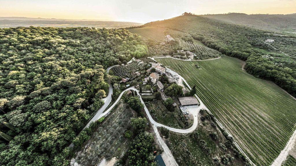 Trasimeno: Weinerlebnis in Montemelino entdecken