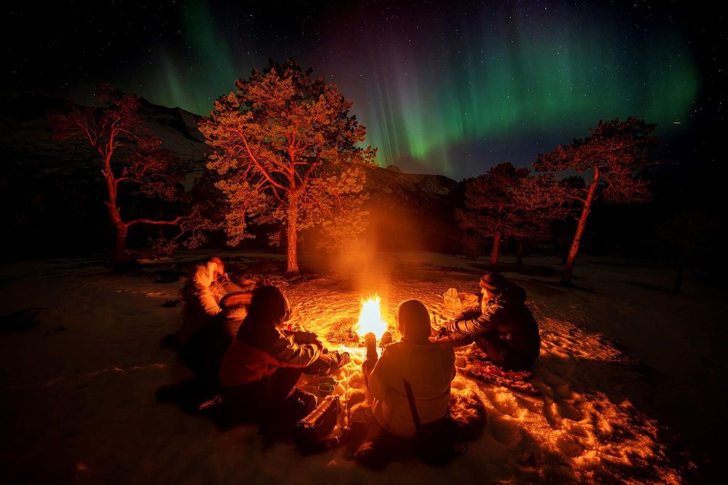 Narvik: Geführte Abendtour zu den Nordlichtern