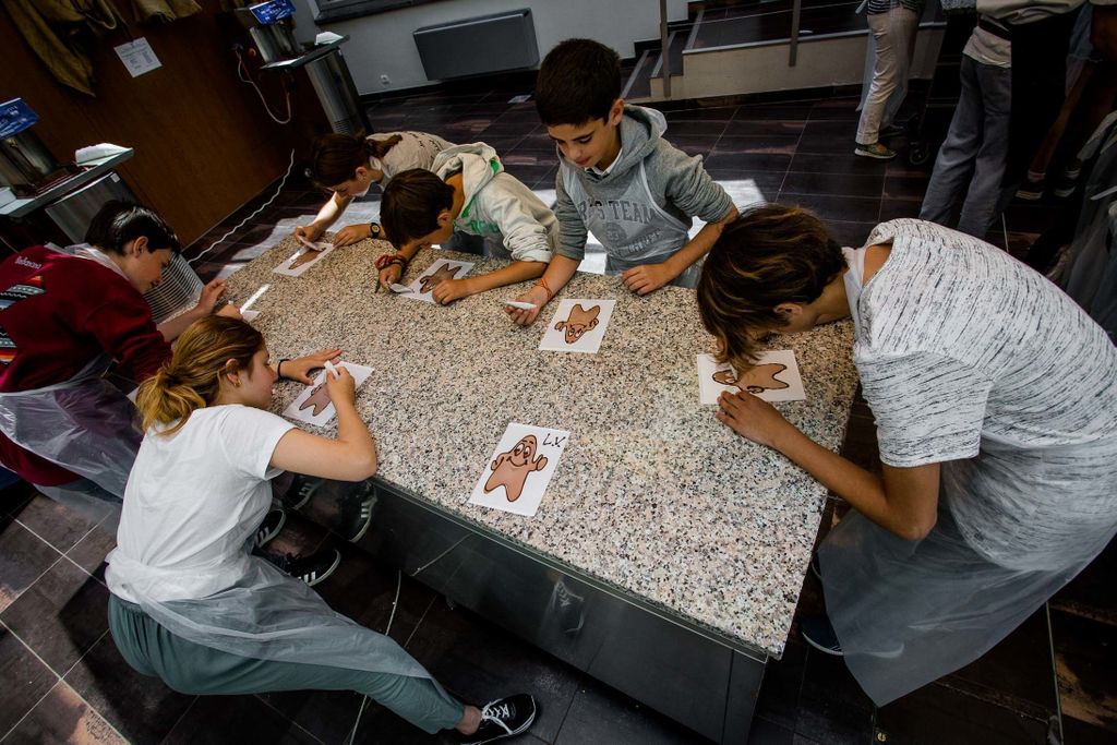 Brügge: Workshop zur Schokoladenherstellung und Eintritt ins Schokoladenmuseum