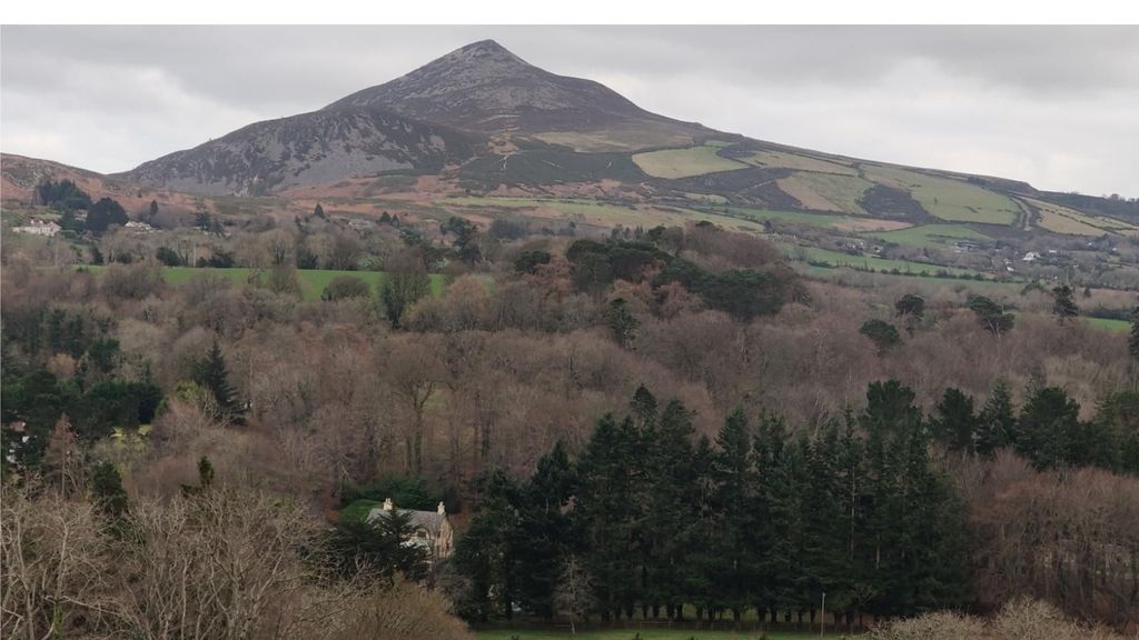 Wicklow: geführte kulturelle Tagestour mit einem lokalen Gastgeber
