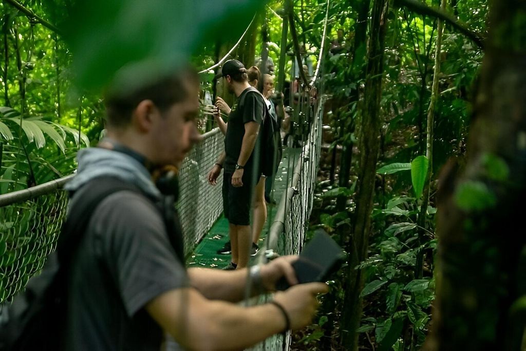 Puerto Limón: Skywalk & Zipline-Abenteuer im Regenwald