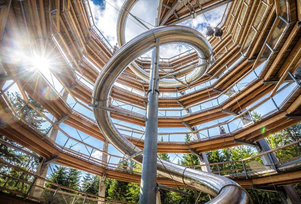 Schwarzwald: Baumwipfelpfad & Aussichtsturm erleben