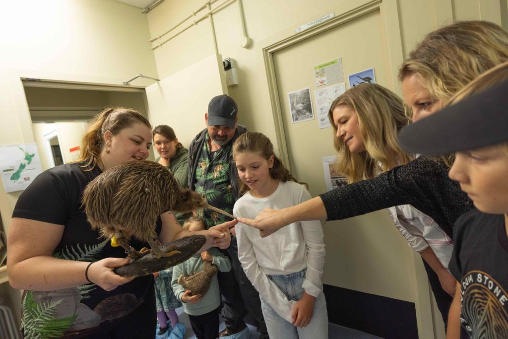 Franz Josef: Kiwi VIP Backstage Pass Tour – Buchung erforderlich