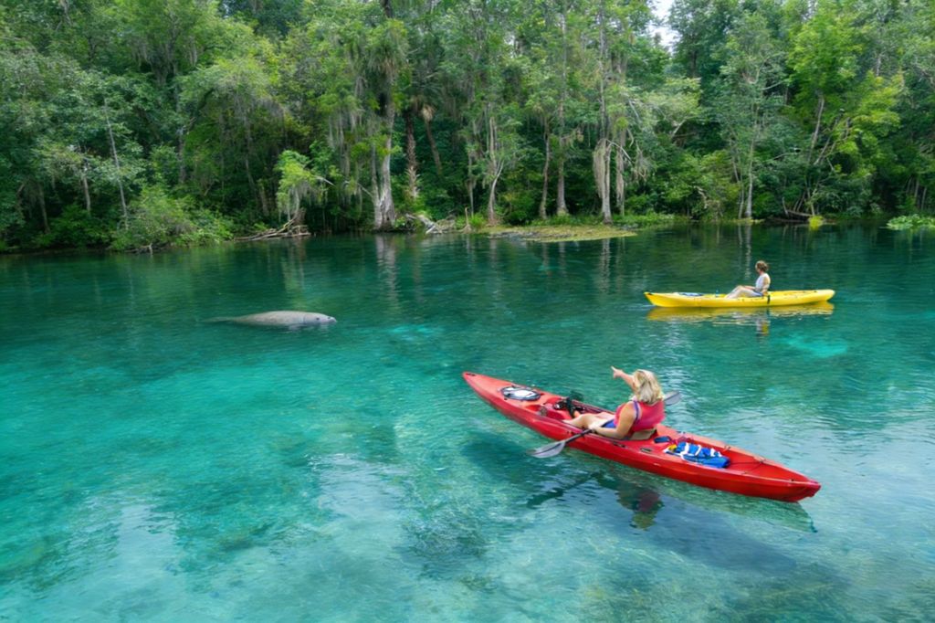 Silver Springs, Orlando: Tagestour in Kleingruppen zur Seekuh-Saison