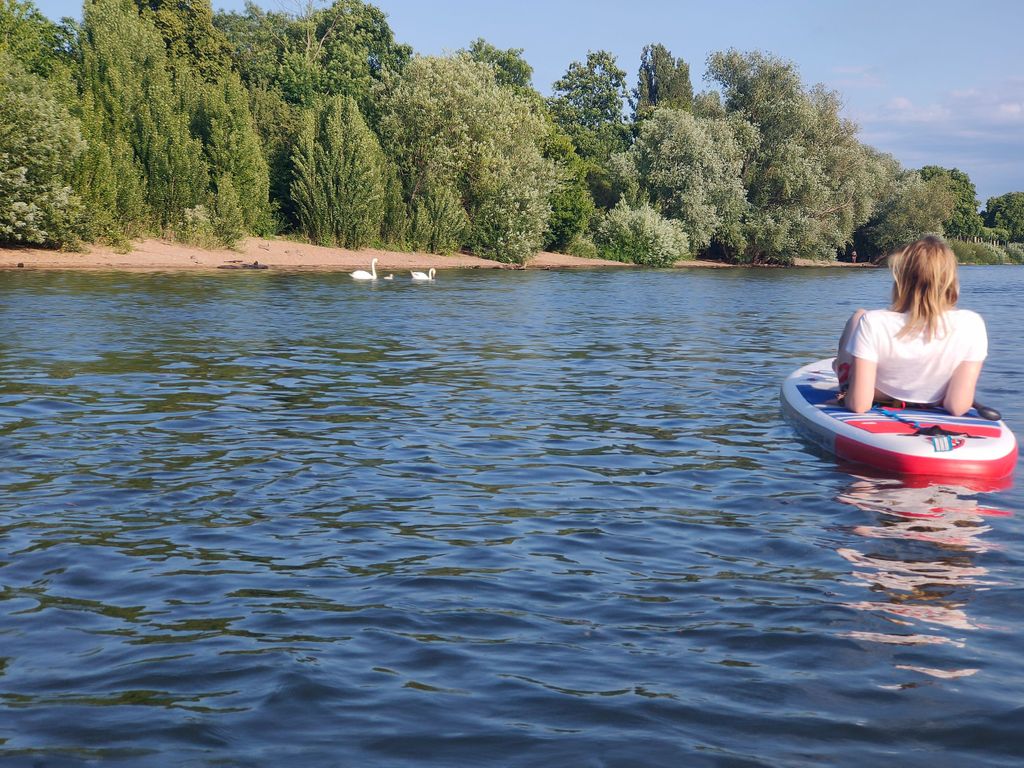 Mainz: Stand Up Paddling Tour auf dem Rhein