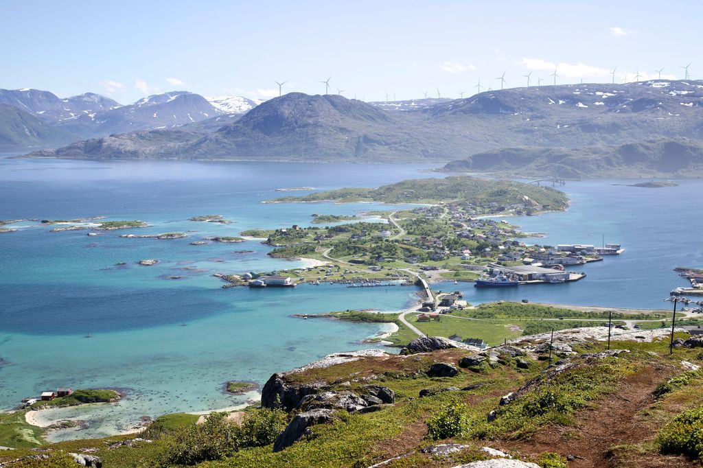 Tromsø: Minibus-Tour zu den Fjorden und nach Sommarøya (Englisch/Spanisch)