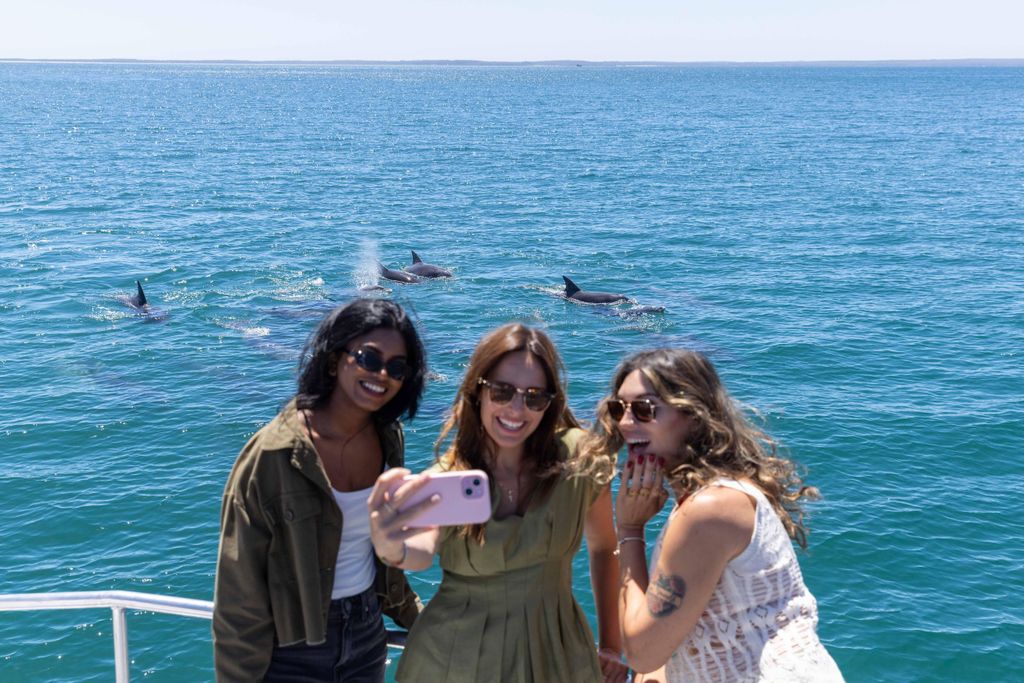 Jervis Bay: Delfin-Bootstour, Mittagessen, Berry & Kiama Blowhole