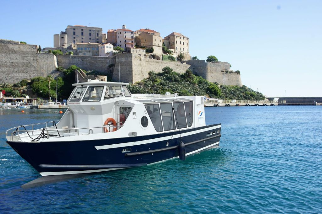 Calvi: geführte Tour mit dem Schnellboot nach Scandola