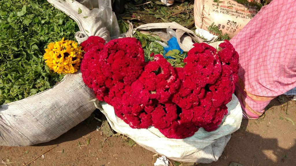 Kolkata: Halbtagestour am Morgen mit Blumenmarkt