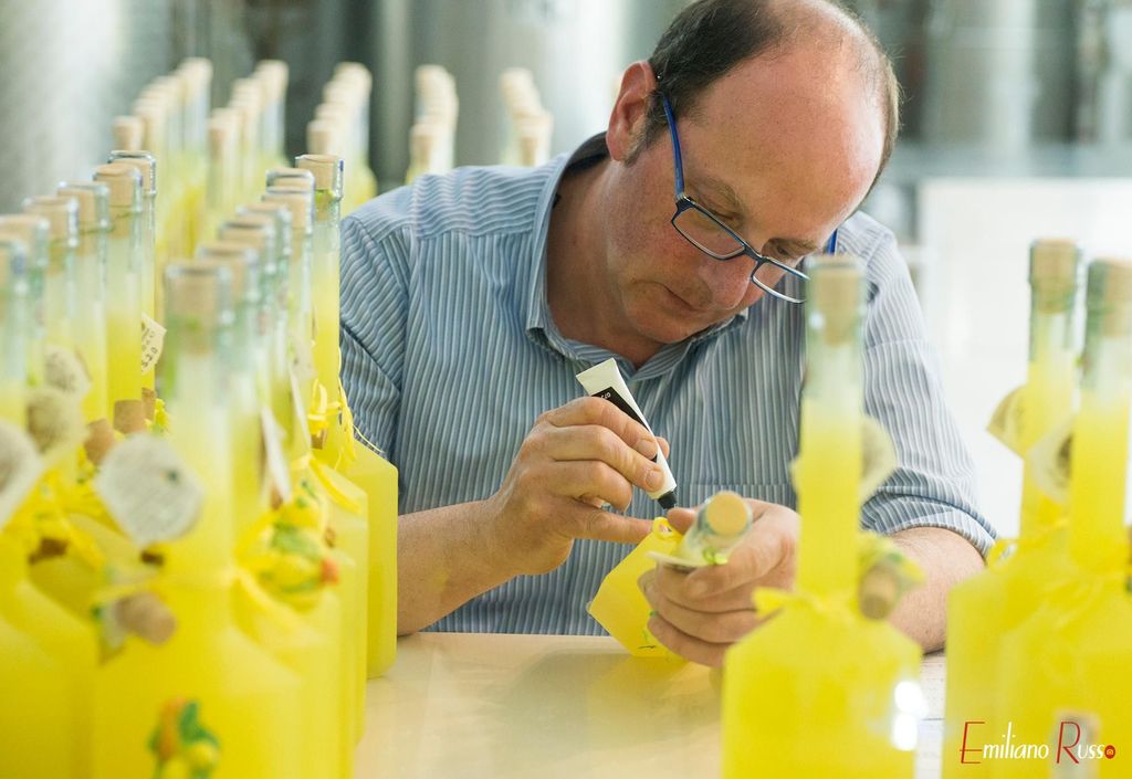 Amalfi: Vertikale Zitronenfarm-Tour, Verkostungen und ländliches Museum