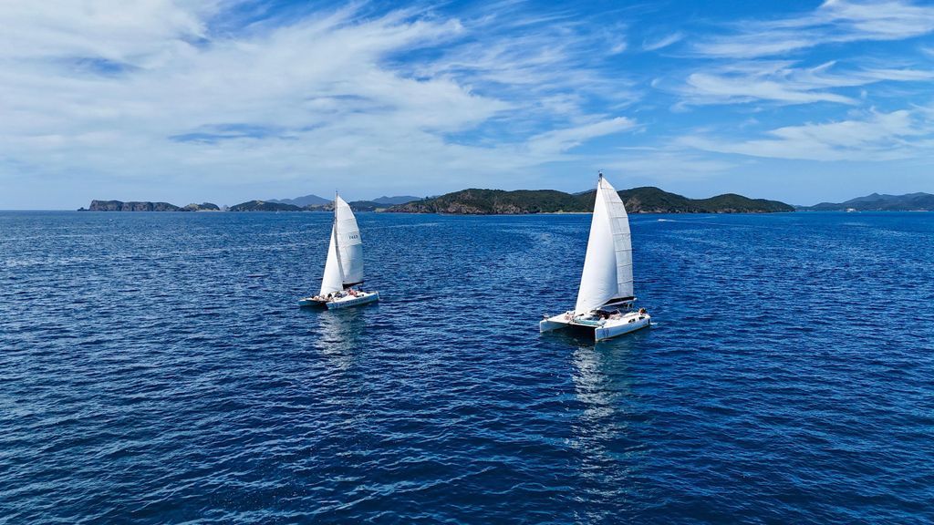 Bay of Islands: Katamaran, Wildtierinsel & Lunch