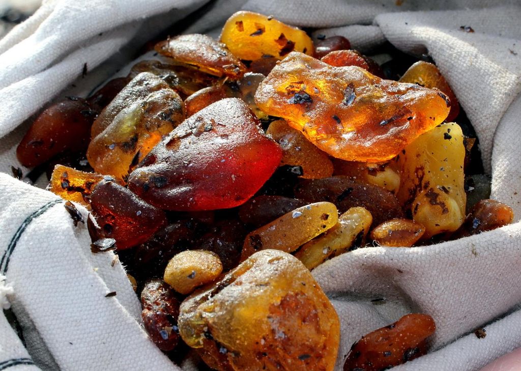 Private Tour: Bernstein sammeln auf der Kurischen Nehrung von Klaipėda aus