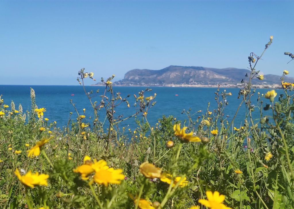 Palermos Ostküste: eine Radtour in der Nähe des Meeres