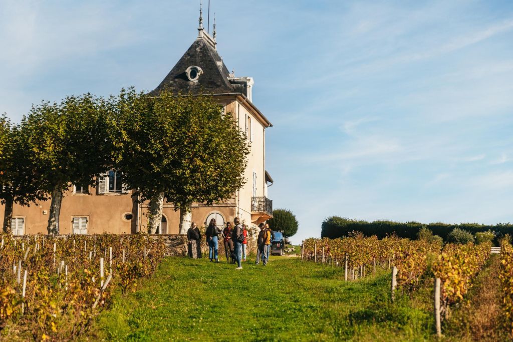 Ab Lyon: Beaujolais-Weintour mit Verkostungen