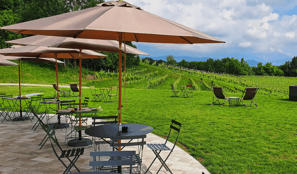 Conegliano: Tour durch die Prosecco-Hügel und -Weinberge