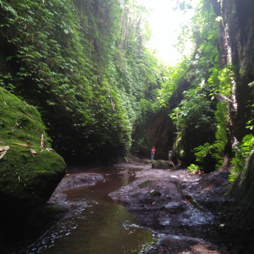 Bali: Tibumana, Tukad Cepung, Kanto Lampo und Tegenungan Tour