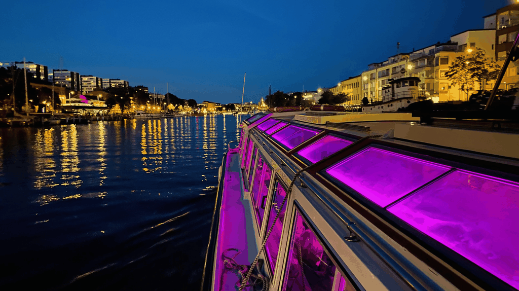 Turku: Abendliche Aura-Flussrundfahrt mit optionalen Stopps