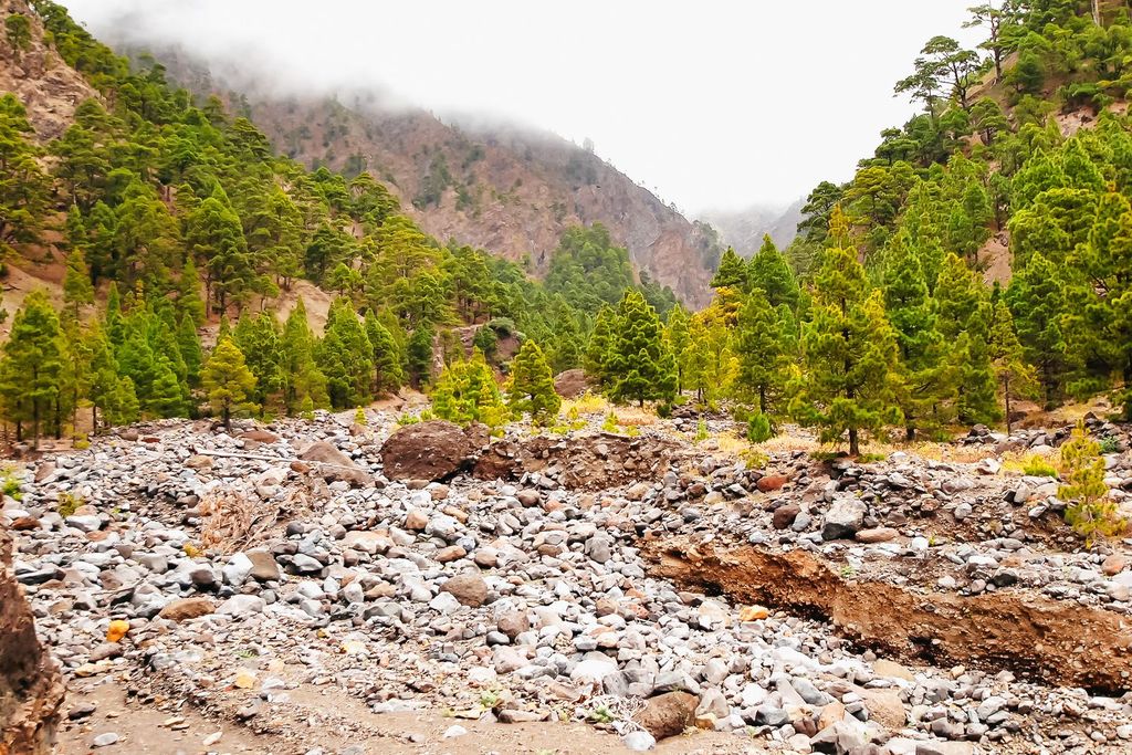 La Palma: Geführte Wanderung im Nationalpark Caldera de Taburiente