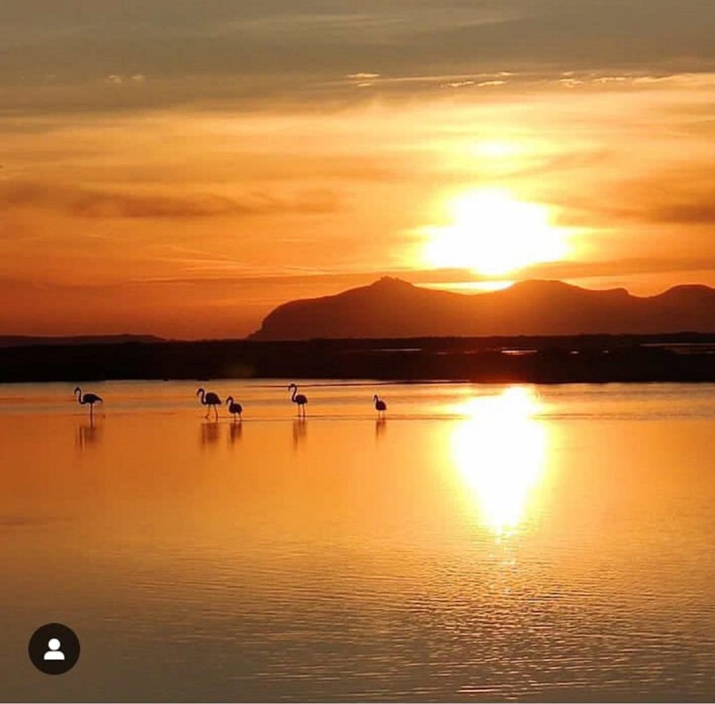 Trapani: Tour zum Sonnenuntergang in den Salinen und Flamingo Way