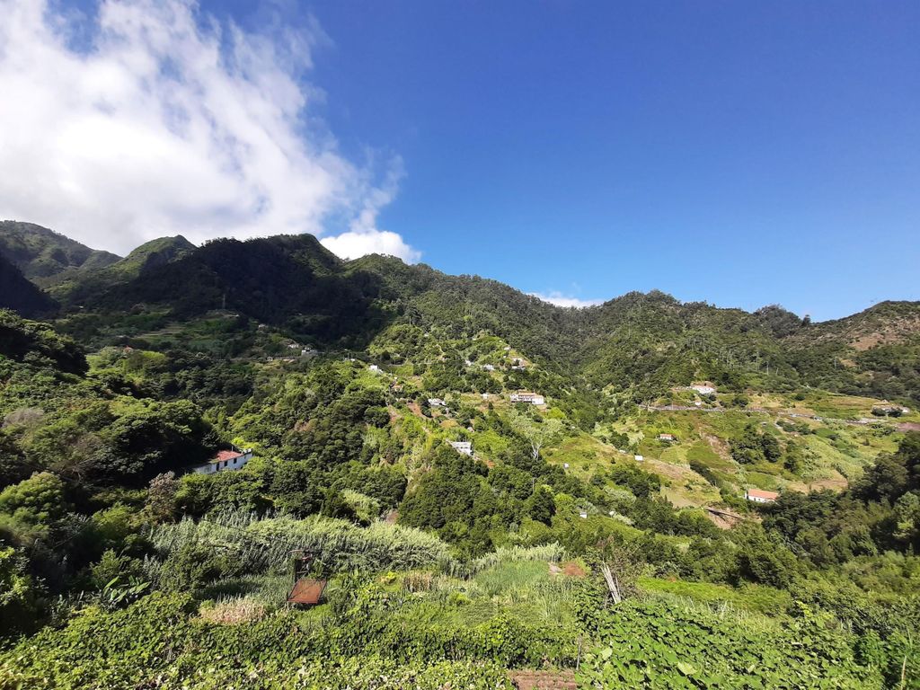 Referta Levada-Wanderung: Entdecke die ruhige Landschaft Madeiras