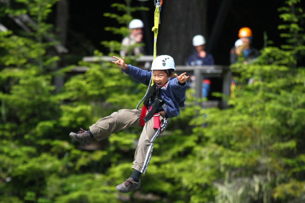 Whistler Zipline Erlebnis: Ziptrek Bear Tour