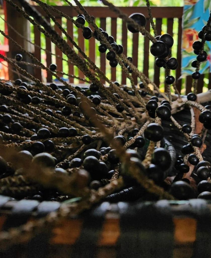 Belém: 3-stündige Bootstour auf dem Guamá mit optionalen Stopps