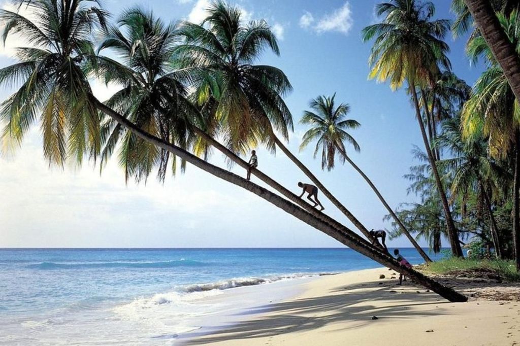 Von Bridgetown aus: Barbados Coast To Coast Halbtagestour