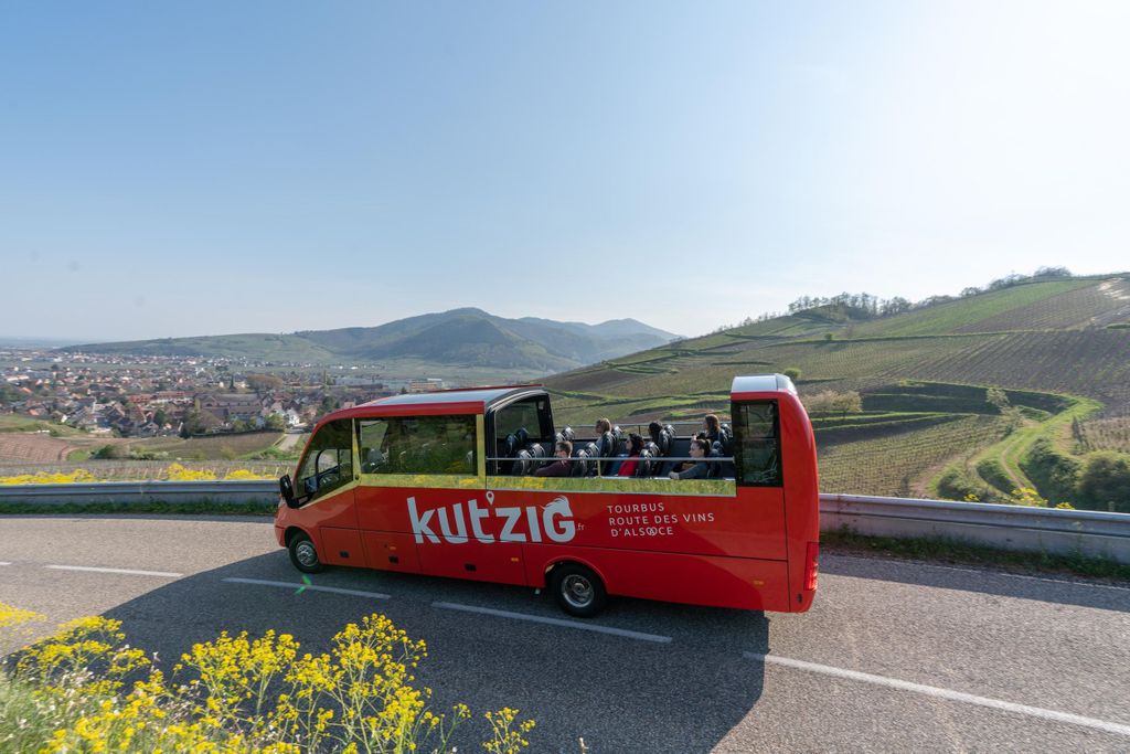 Elsässische Weinstraße: Hop-on-Hop-off-Tour mit dem Cabrio-Bus