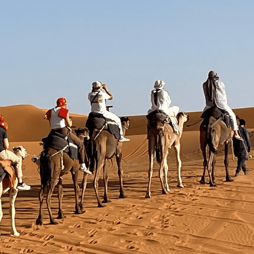 Von Fes: 3-tägiges Wüstenabenteuer nach Marrakesch über Merzouga