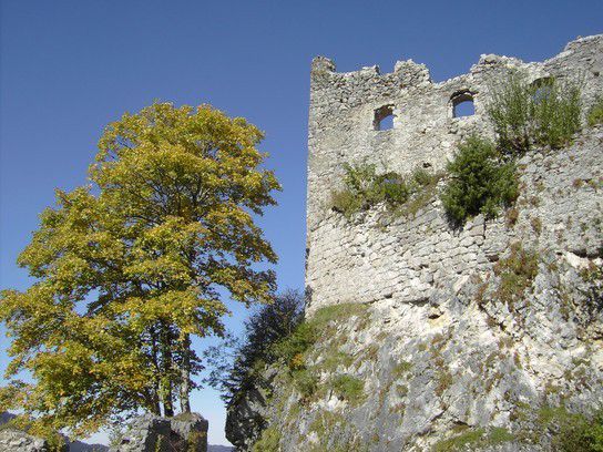 Burg Ehrenberg Tirol