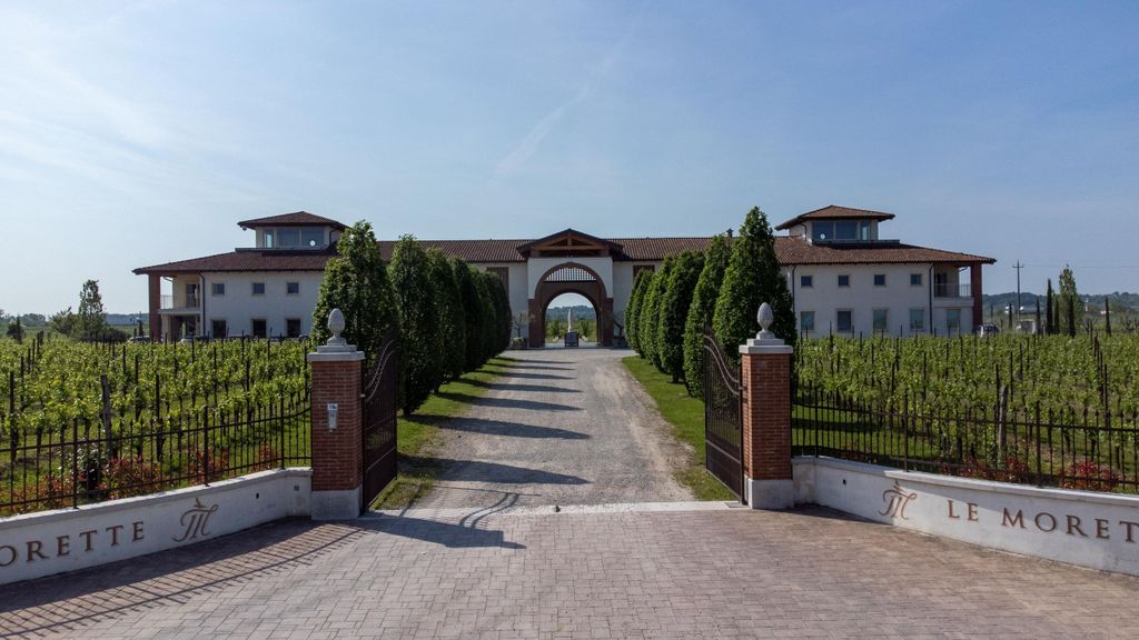 Lugana Special: Tour und Verkostung zur Entdeckung der Region