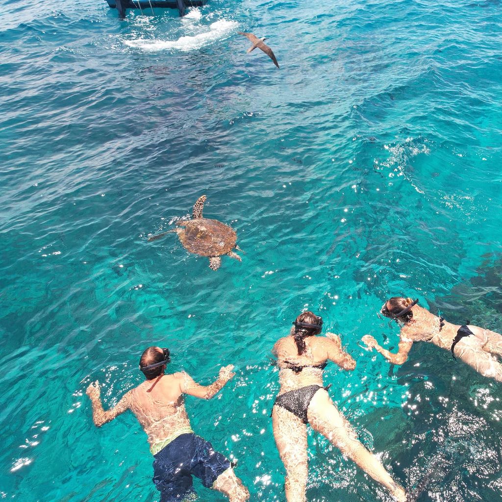 Privater Charter: Curieuse, St Pierre, Petite Soeur, Cocos Island, Félicité.