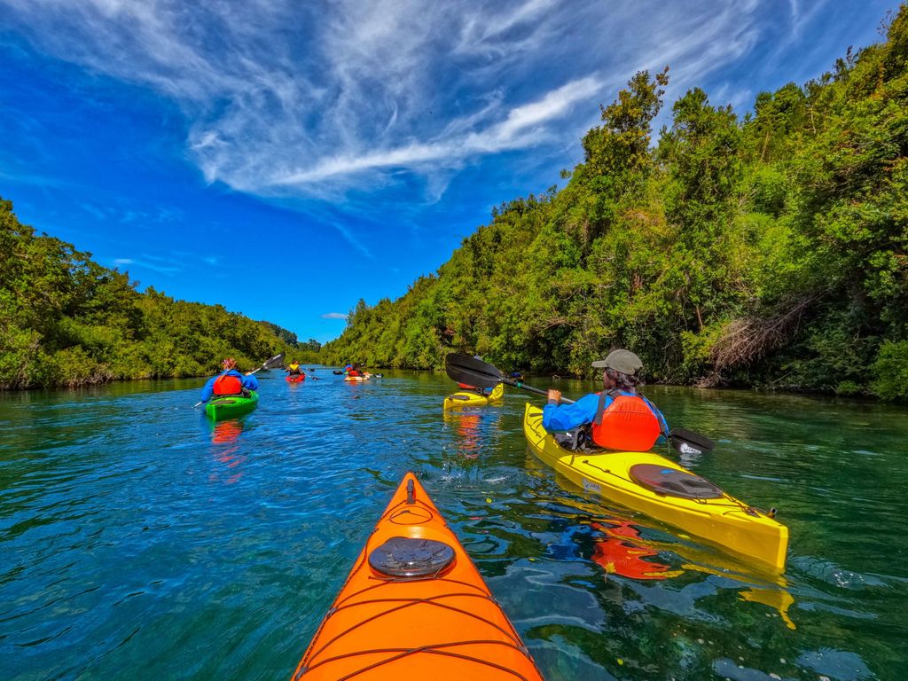Halbtägige Kajaktour auf dem Maullín-Fluss in Puerto Varas