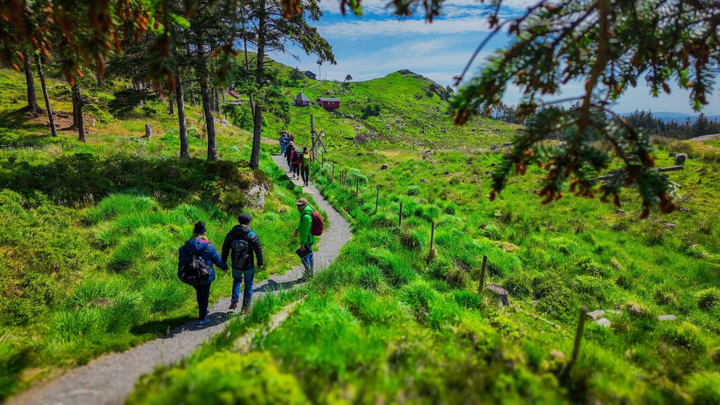 Entdecke Haugesund und besuche einen lokalen Bergbauern