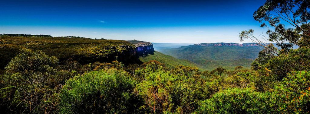 Von Sydney aus: Blue Mountains Kleingruppentour Picknick & Wanderung
