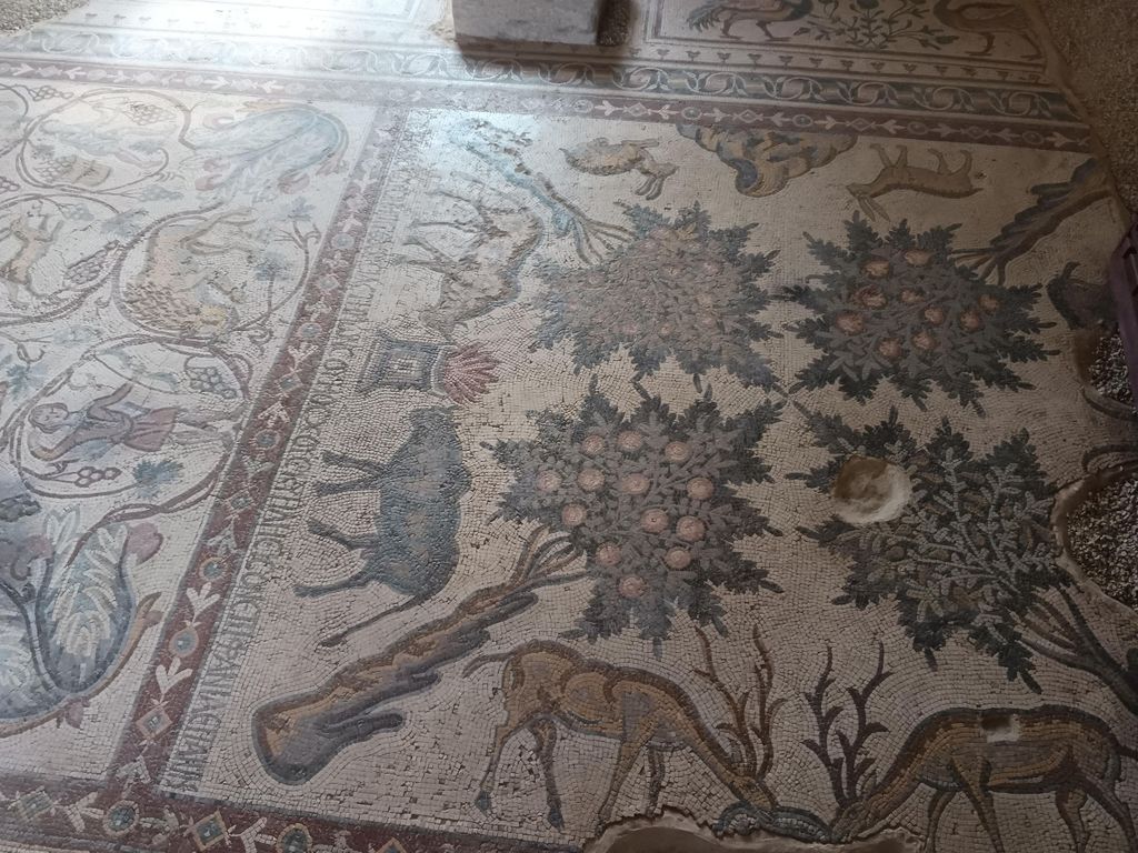 Mosaikwunder in Jordanien: Umm ar-Rasas, Madaba und Berg Nebo