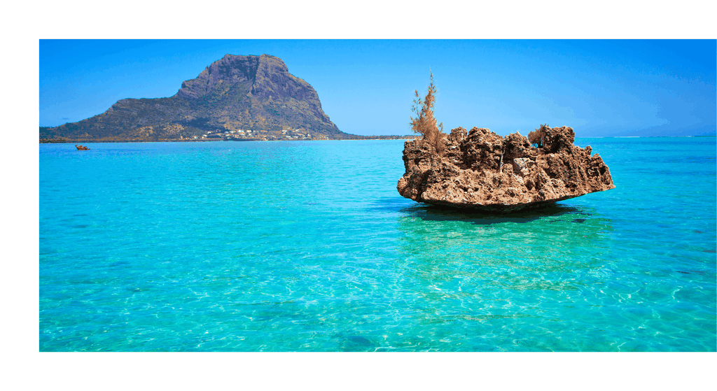 Mauritius: Delfinbegegnung & Benitier Island