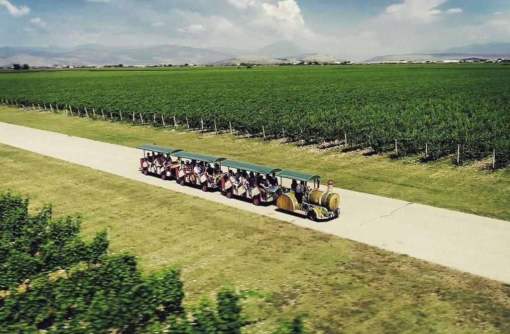Das größte Weingut in Montenegro: private Tour & Transport