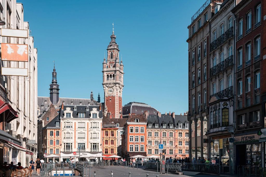 Privater Rundgang durch das Zentrum und die Altstadt von Lille mit einem qualifizierten Guide.