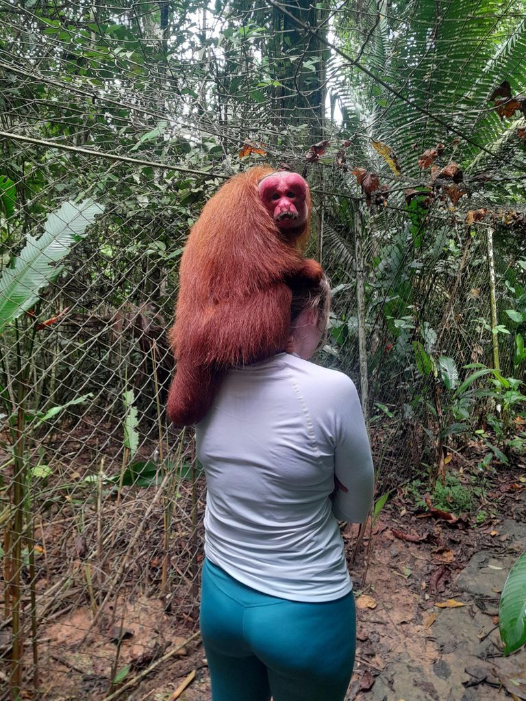 Amazonian Wonder, 2 Tage 01 Nacht in Lodge
