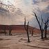 Lonely planet namibia - Der Testsieger unter allen Produkten